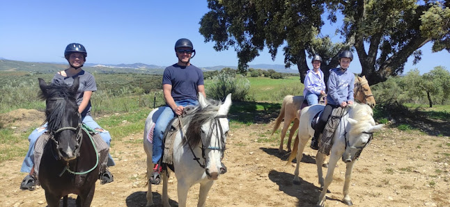 Caballos y Vinos / Ruta a Caballo Ronda/ Horse riding Ronda/ Reiten in Ronda